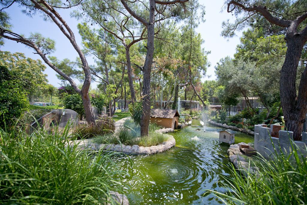 Mirada Del Mar Hotel Goynuk  Εξωτερικό φωτογραφία